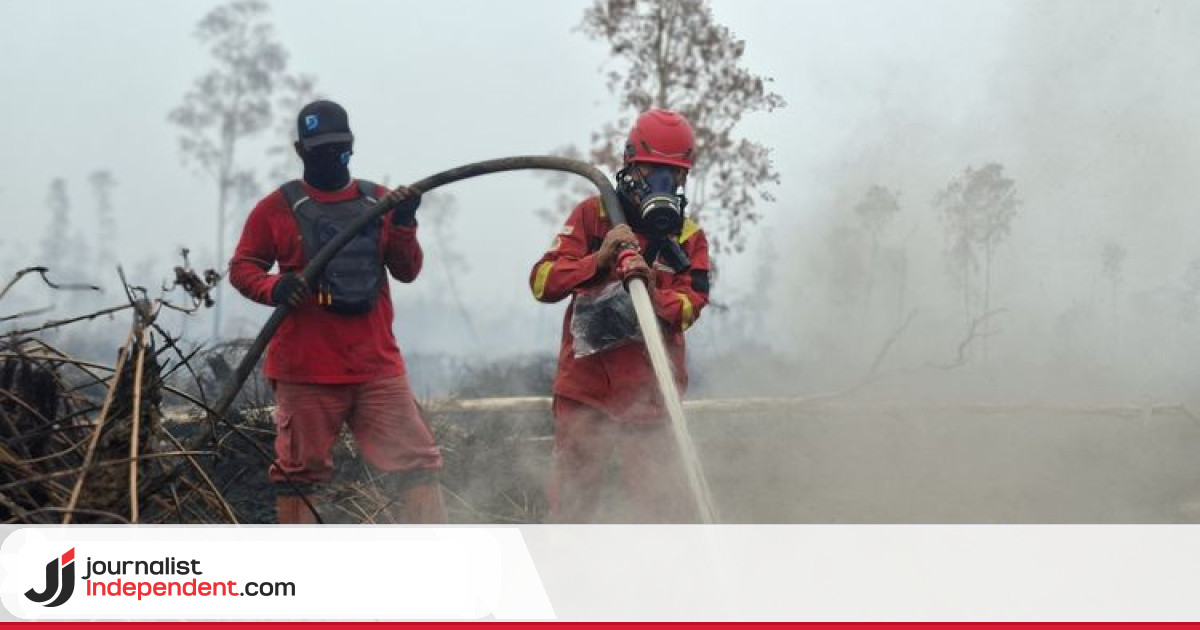 Kemenhut Klaim Karhutla Turun Jadi 617 Titik Hotspot – Journalist ...