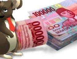 Diduga Kebiri Dana Insentif Nakes, Bupati Jeneponto Diminta Copot Kepala Puskesmas Tompobulu Sudarmi Salawaty