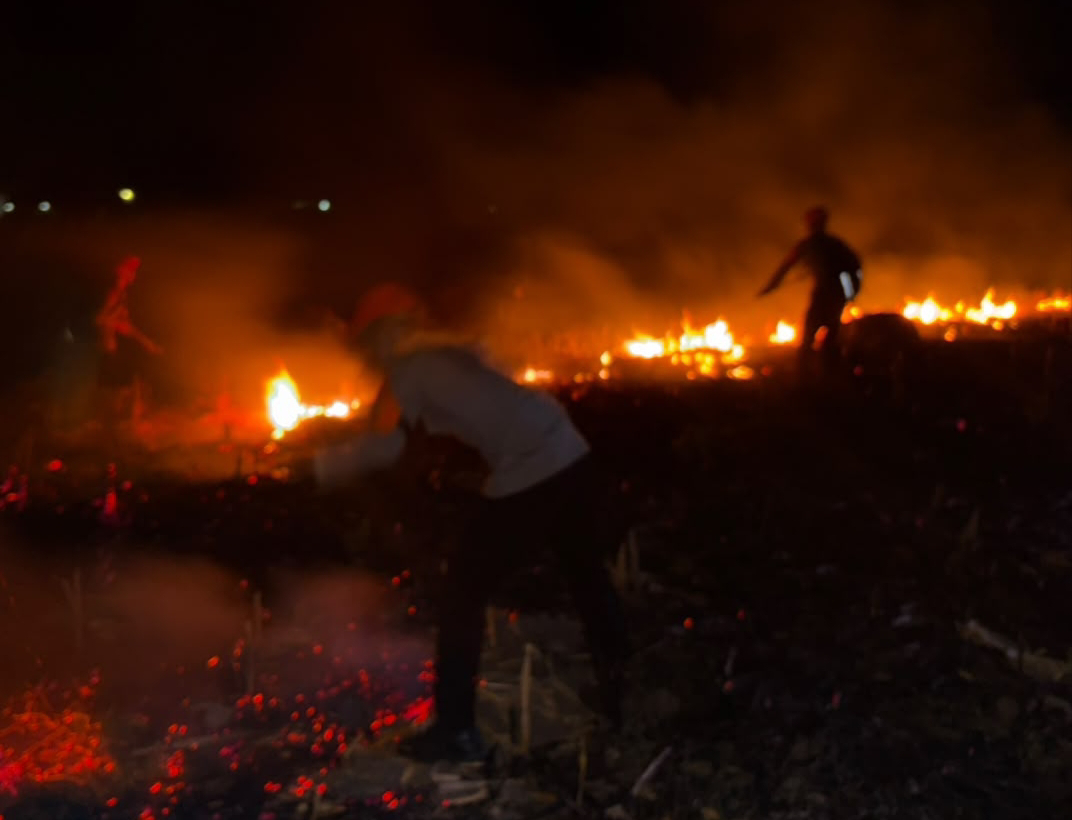 Situasi lokasi saat Sat Brimob Batalyon B berusaha padamkan api.