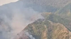 Kebakaran melanda kawasan hutan lindung Gunung Nona, Kabupaten Enrekang, Sulawesi Selatan, Sabtu (15/8/2026). Api membakar tanaman pinus dan pepohonan lainnya di kawasan tersebut sebelum berhasil dipadamkan petugas.