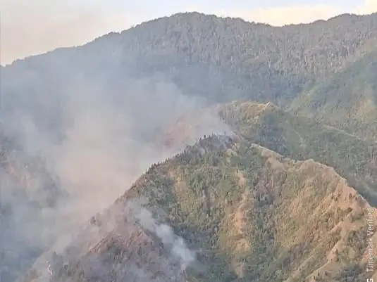 Kebakaran melanda kawasan hutan lindung Gunung Nona, Kabupaten Enrekang, Sulawesi Selatan, Sabtu (15/8/2026). Api membakar tanaman pinus dan pepohonan lainnya di kawasan tersebut sebelum berhasil dipadamkan petugas.