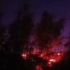 Api Melalap Hutan Pinus Malino, Gowa, Padam Setelah Hampir Empat Jam