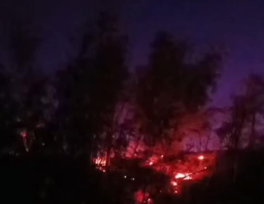 Petugas gabungan bersama masyarakat melakukan pemadaman kebakaran di kawasan hutan pinus Malino, Kabupaten Gowa, Sulawesi Selatan, Rabu (19/8/2026). Api berhasil dipadamkan sekitar pukul 21.30 Wita setelah hampir empat jam ditangani.