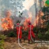 Bareskrim Bongkar Modus Bakar Lahan, 72 Orang Jadi Tersangka Karhutla