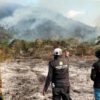 Luwu Dilanda Karhutla, 50 Hektare Lahan Terbakar Hampir Sebulan