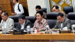 Tiga ASN Pertanian Gugur Ditembak Saat Salurkan Bantuan Ternak di Jayawijaya