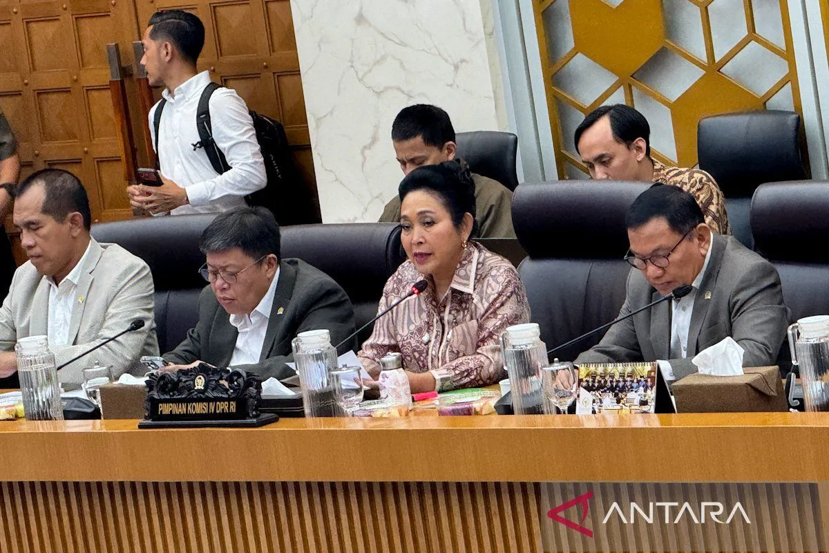 Tiga ASN Pertanian Gugur Ditembak Saat Salurkan Bantuan Ternak di Jayawijaya