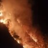 Lahan Seluas 5 Hektare di Palopo Terbakar, Diduga Sengaja Dibakar