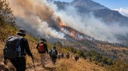 Karhutla Gunung Rinjani Meluas, Pendaki dari Senaru dan Torean Dialihkan