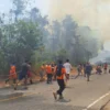 Karhutla Poso Meluas, 15 Hektare Kebun dan Dua Rumah Warga Terbakar