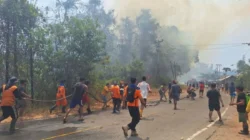 Karhutla Poso Meluas, 15 Hektare Kebun dan Dua Rumah Warga Terbakar