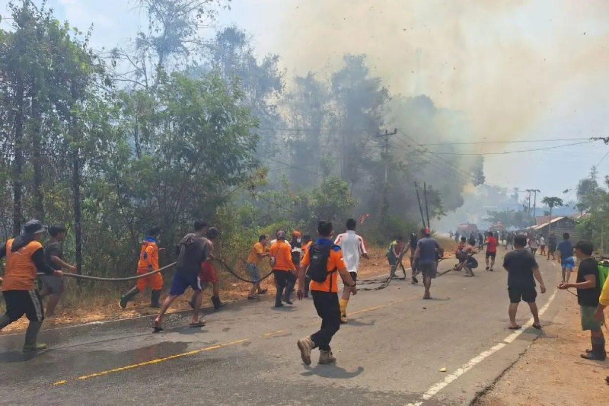 Karhutla Poso Meluas, 15 Hektare Kebun dan Dua Rumah Warga Terbakar.