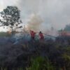 10 Hektare Lahan Warga di Poso Terbakar, Diduga Dipicu Puntung Rokok