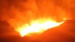 Bukit Teletubbies Bromo Kembali Terbakar, Petugas TNBTS Bergerak