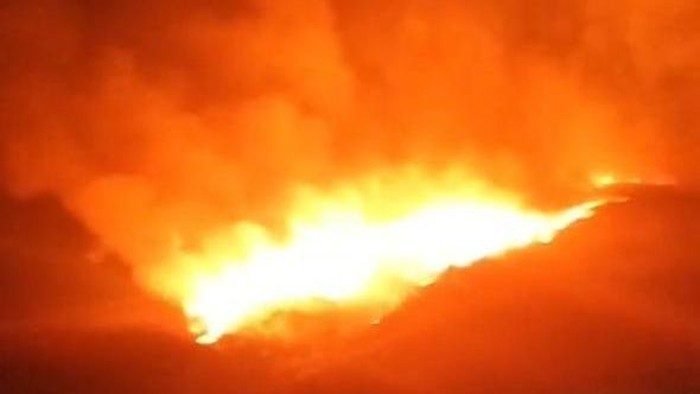 Api Kembali Membakar Bukit Teletubbies Bromo.
