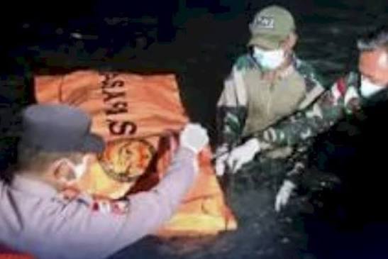 DNA Jasad di Pulau Enggano Identik dengan Kru Kapal Jurnalis Hilang.