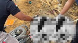 Kecelakaan Maut di Mamuju, Pemotor MX King Tewas Tabrak Truk Fuso