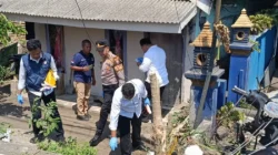 Motor Istri Dicuri, Suami Kejar Pelaku dan Tabrak Hingga Tewas.