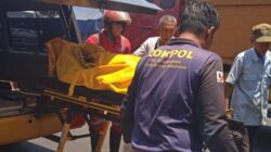 Satu keluarga tewas dalam kecelakaan di Gempol, Pasuruan. Motor yang ditumpangi ayah, ibu, dan anak tiga tahun terlindas truk.