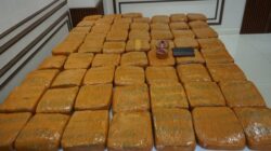 Polisi Ungkap Peredaran 62,5 Kilogram Ganja di Petamburan, Dua Pria Ditangkap