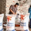 Bulog: Stok Beras Capai 4,8 Juta Ton, Gudang Sampai Tak Muat!