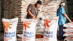 Bulog: Stok Beras Capai 4,8 Juta Ton, Gudang Sampai Tak Muat!