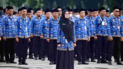 Ilustrasi ASN/PPPK