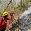 Kebakaran Karst Pangkep Tembus 93 Hektare, Arkeolog Khawatir Lukisan Purba Rusak