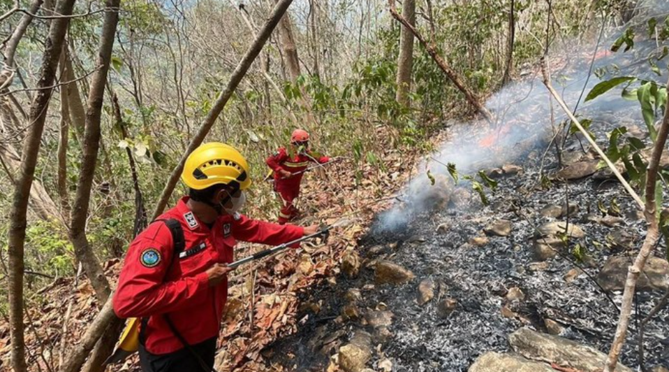 Pemadaman kebakaran hutan (Karhutla) di kawasan Karst Pangkep. (Ist)