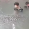 Hiu Paus Tutul 3,5 Meter Terdampar di Tambak Udang Muna, Warga Langsung Evakuasi