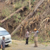 Karhutla di Malino Gowa Picu Pohon Tumbang, Jalan Wisata Sempat Macet Satu Jam