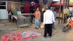 Hantam Trotoar dan Pohon, Mahasiswa 24 Tahun Tewas Kecelakaan di Gowa