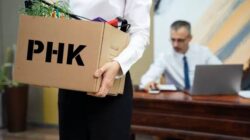 63.789 Pekerja Kena PHK hingga September 2026, Sulsel Catat 2.514 Orang