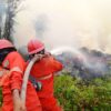Karhutla Belum Usai, MUI Serukan Taubat Nasuha Atas Segala Dosa
