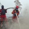 Kemenhut Klaim Karhutla Turun Jadi 617 Titik Hotspot