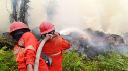 Karhutla Belum Usai, MUI Serukan Taubat Nasuha Atas Segala Dosa
