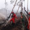 Hotspot Karhutla Bertambah: Total 808 Titik, Kalteng Tembus 198 Hotspot