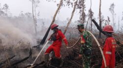 Hotspot Karhutla Bertambah: Total 808 Titik, Kalteng Tembus 198 Hotspot