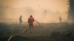 Kemenhut Klaim Titik Hotspot Karhutla Menurun, Kalteng Naik jadi 92 Titik