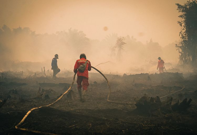 Karhutla di Indonesia.
