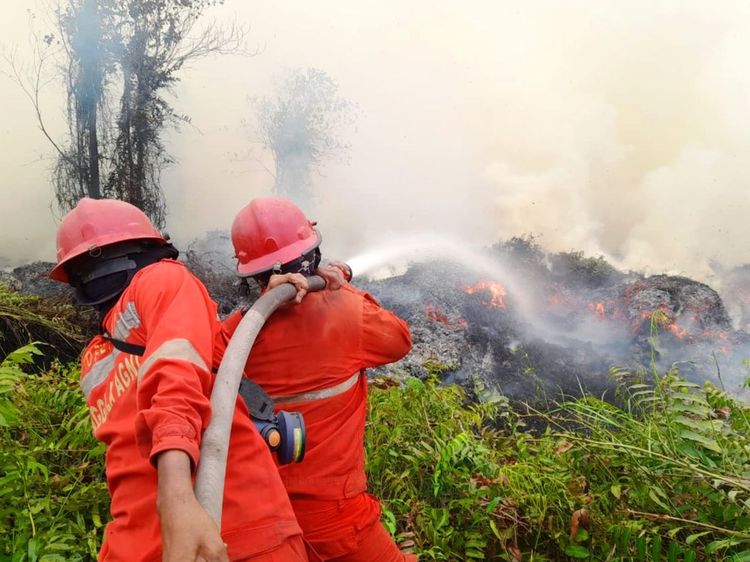Karhutla di Indonesia