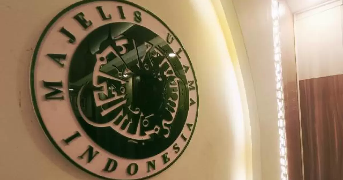 Logo MUI