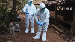 Bakteri Antraks Terdeteksi di Gunungkidul, Kementan Perkuat Pengendalian