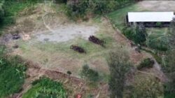 Drone TNI Rekam Upacara OPM Bersenjata di Intan Jaya, Gereja Jadi Pertimbangan Operasi