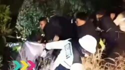 Karyawan PT IMIP Morowali Diduga Lecehkan Teman Kerja, Sempat Diamuk Massa Sebelum Ditangkap