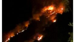 Kebakaran dilaporkan terjadi di Gunung Bulu Bellange, wilayah Kesatuan Pengelolaan Hutan (KPH) Balocci, pada Minggu (11/10/2026)