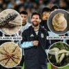 Lionel Messi Jadi Inspirasi Beragam Spesies di Bumi, dari Bunga Andes hingga Hewan Purba