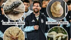 Lionel Messi Jadi Inspirasi Beragam Spesies di Bumi, dari Bunga Andes hingga Hewan Purba