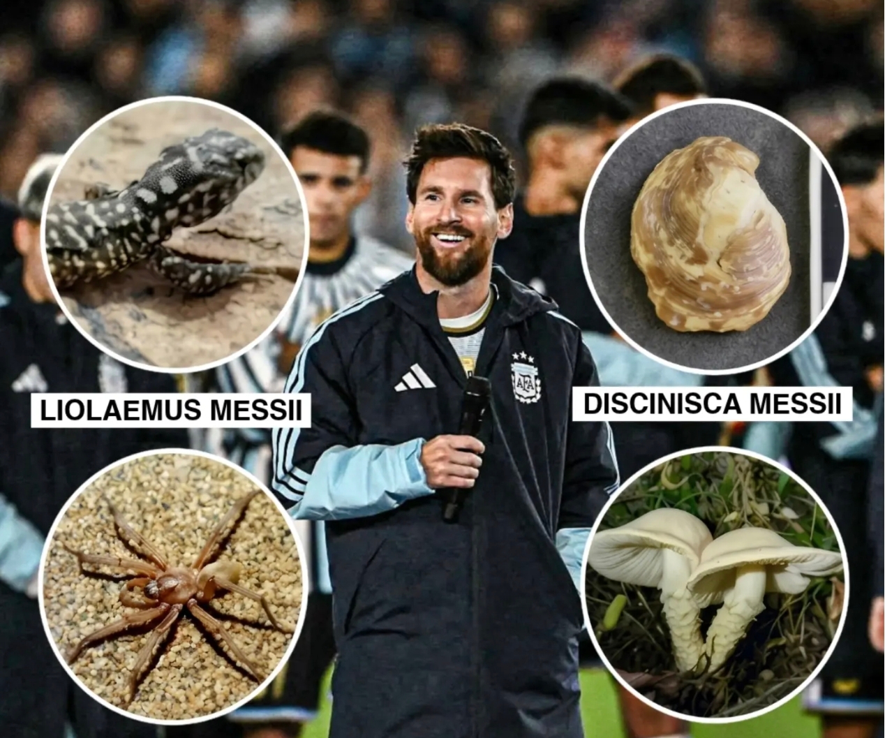 Nama Lionel Messi diabadikan menjadi nama beragam spesies di Bumi.