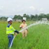 Peneliti Unhas Ciptakan Padi Tahan Kekeringan-Hadapi Kemarau